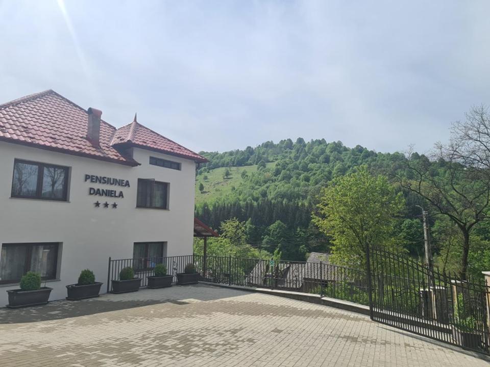 Pensiunea Daniela 모이세이 외부 사진