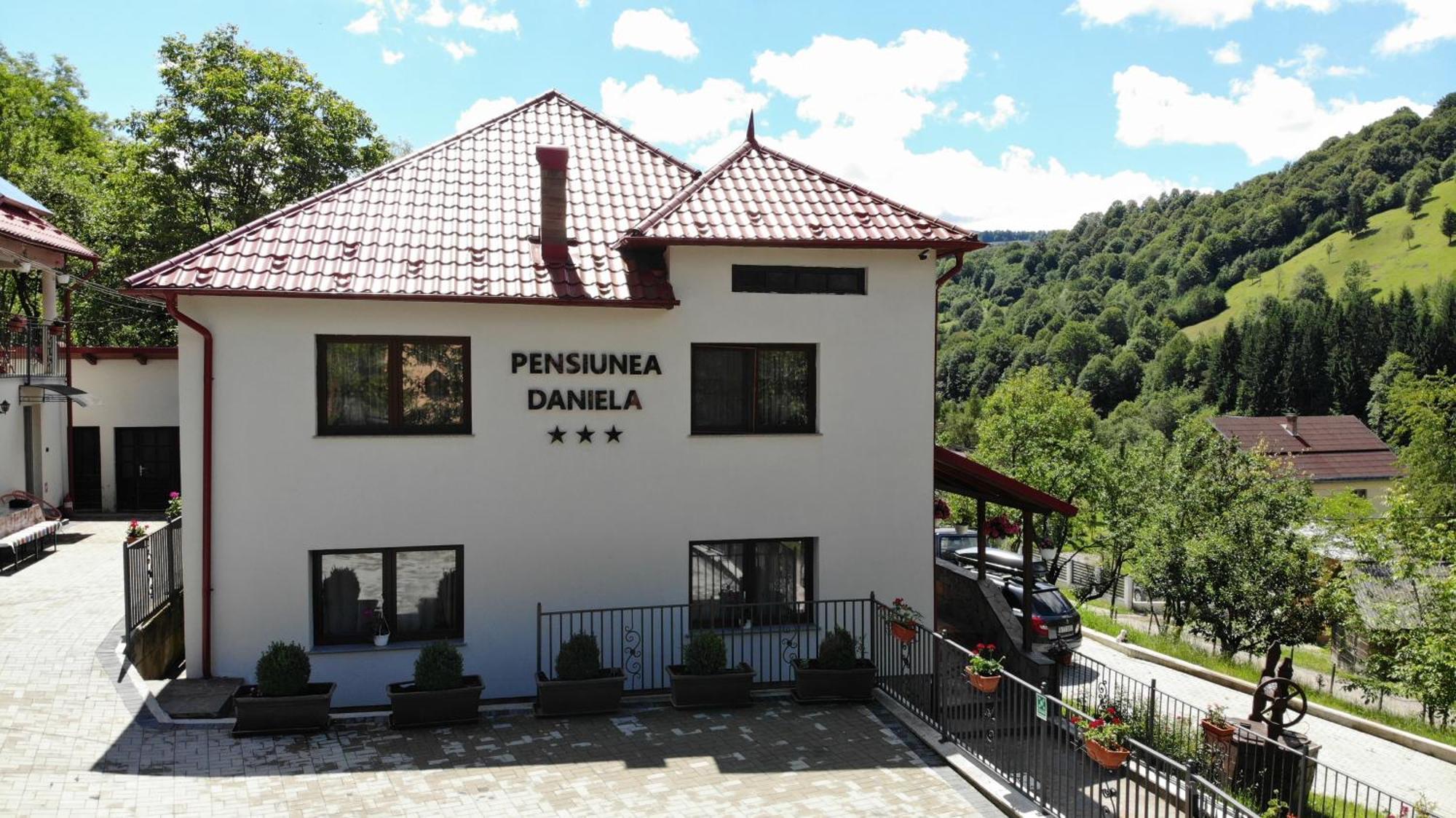 Pensiunea Daniela 모이세이 외부 사진